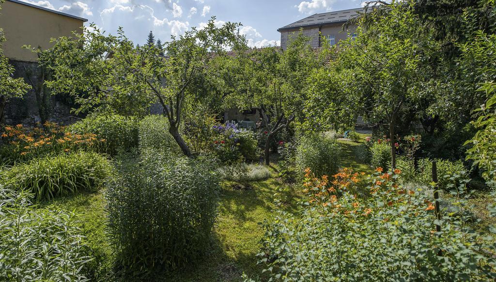 ホテル La Vecchia Casa ツェティニェ エクステリア 写真